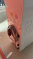 Preview: CARPIGIANI Pasto 60 XPL-P